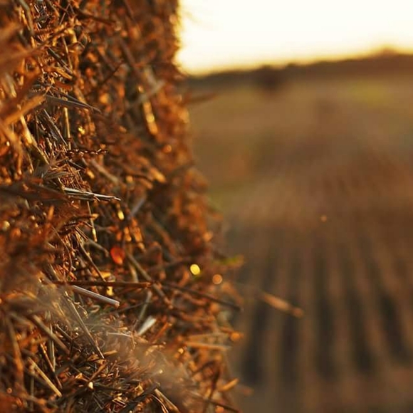 Meet your Posher, Erika - Picture 2 of 9